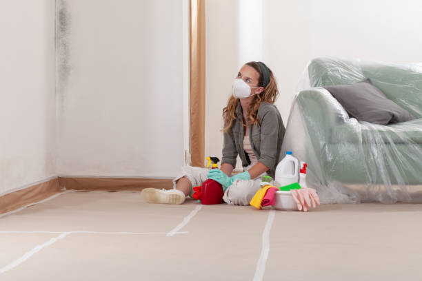 Reliable Mold Remediation contractor in Neshanic Station, NJ by Cheap Mold Removal